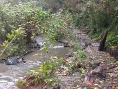 Save Wood Creek Update - August 2020